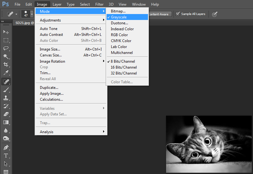 Set Image to Grayscale in Photoshop