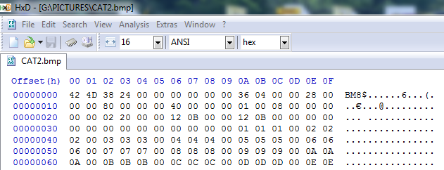 Using a Hex editor to view image file header