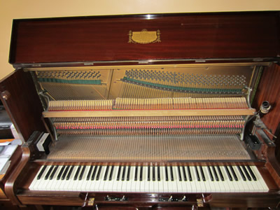 Steinhardt Player Piano - Internals